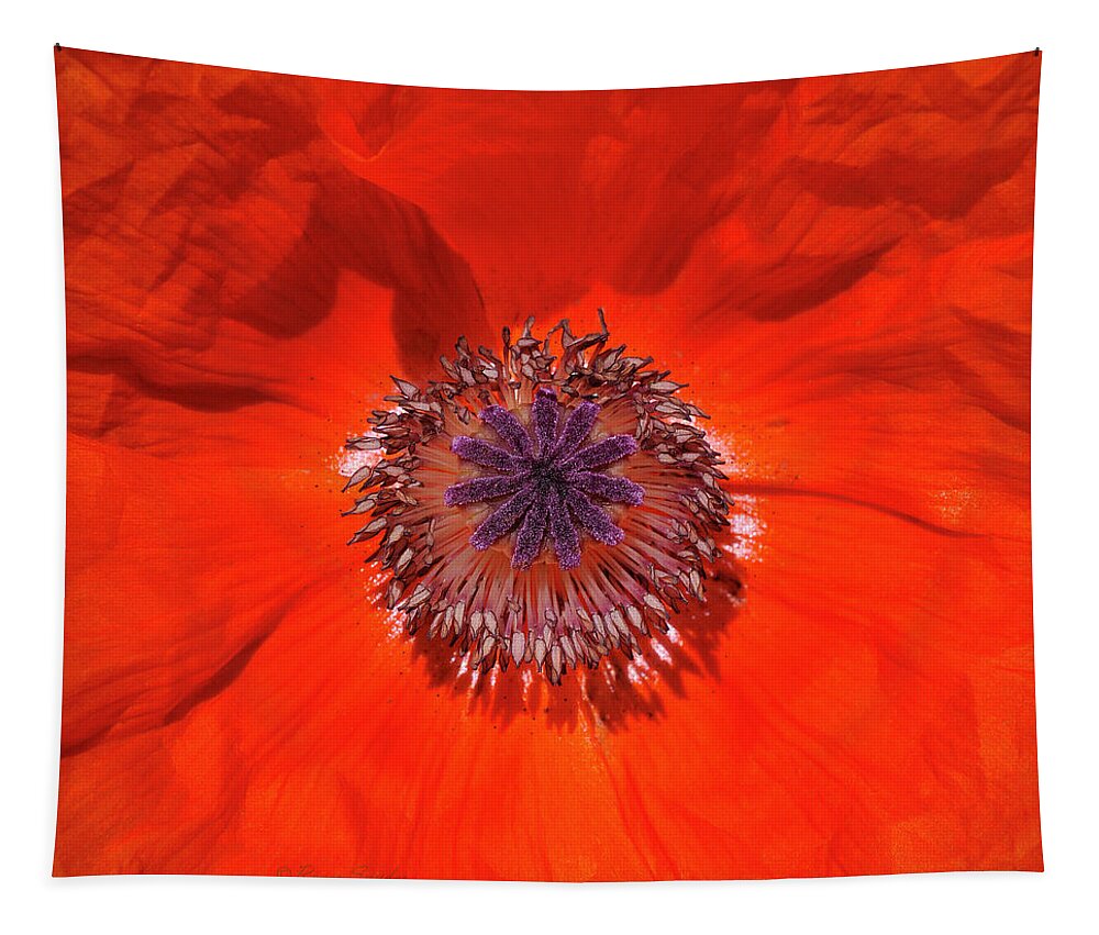 Orange Tapestry featuring the photograph Orange Poppy by Roger Snyder