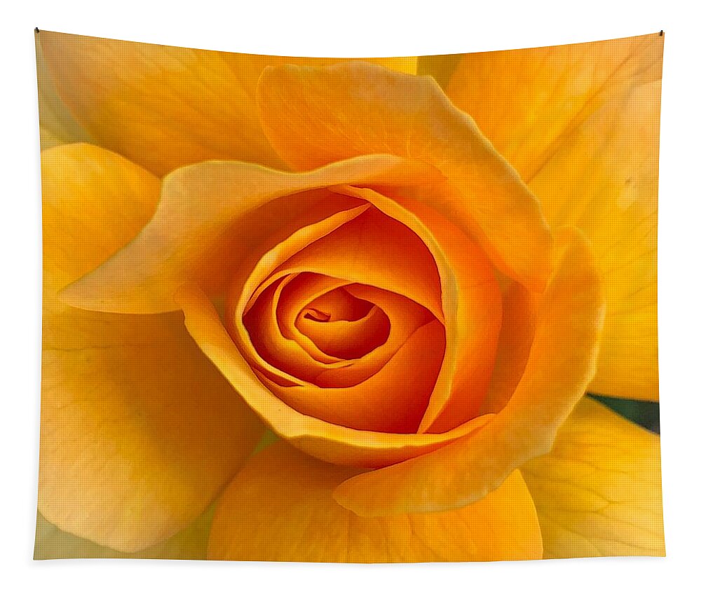 Flower Tapestry featuring the photograph Orange Rose by Anamar Pictures