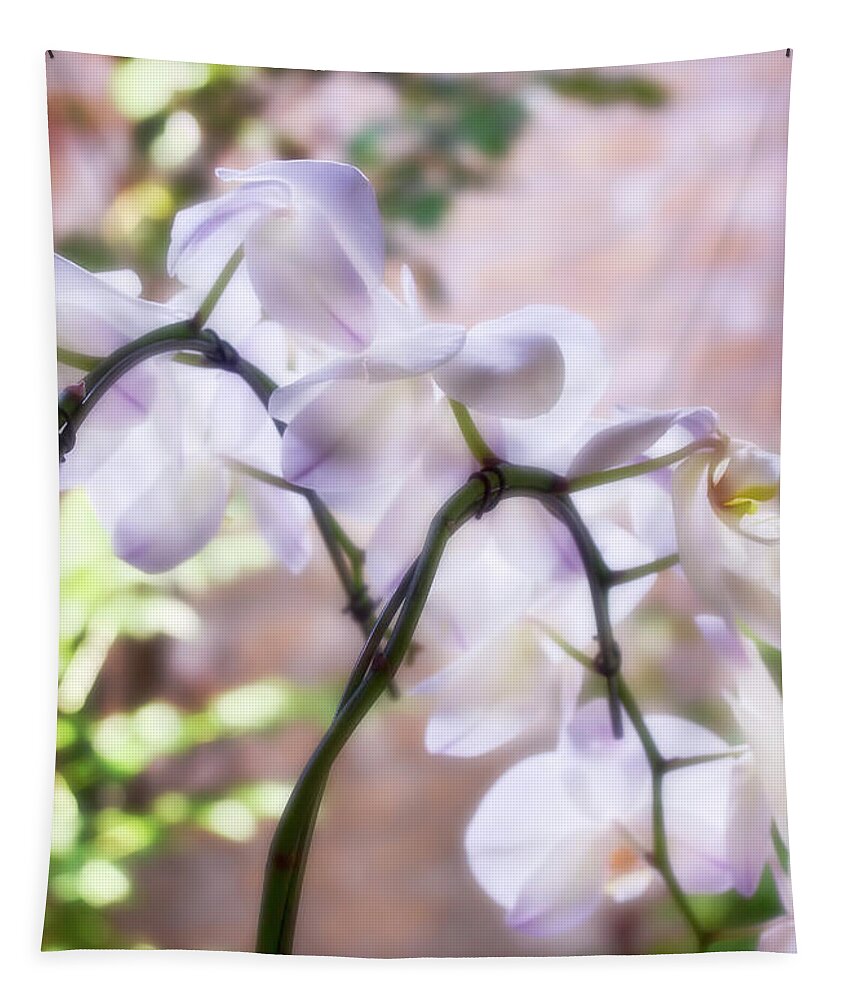 Orchids Tapestry featuring the photograph Orchid Garden by Joan Bertucci