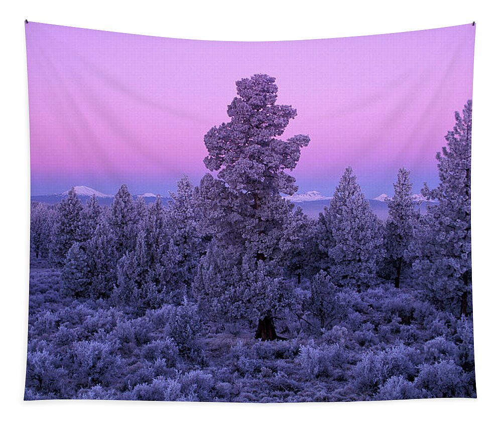 Estock Tapestry featuring the digital art Oregon High Desert Near Bend by Heeb Photos