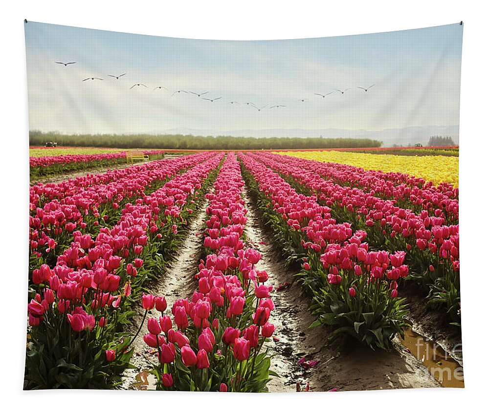 Tulips Tapestry featuring the photograph Oregon tulip festival by Sylvia Cook