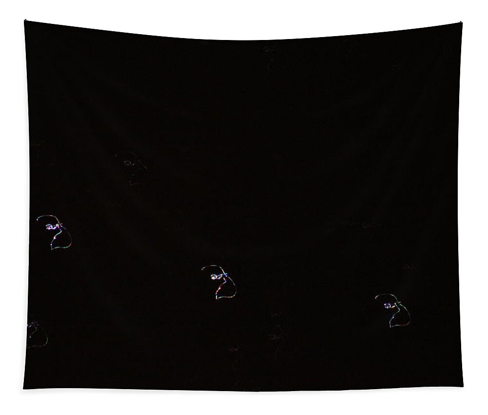 Llamp Tapestry featuring the photograph Orions Belt - Alnitak - Alnilam - Mintaka - LLAMP 010 by M E