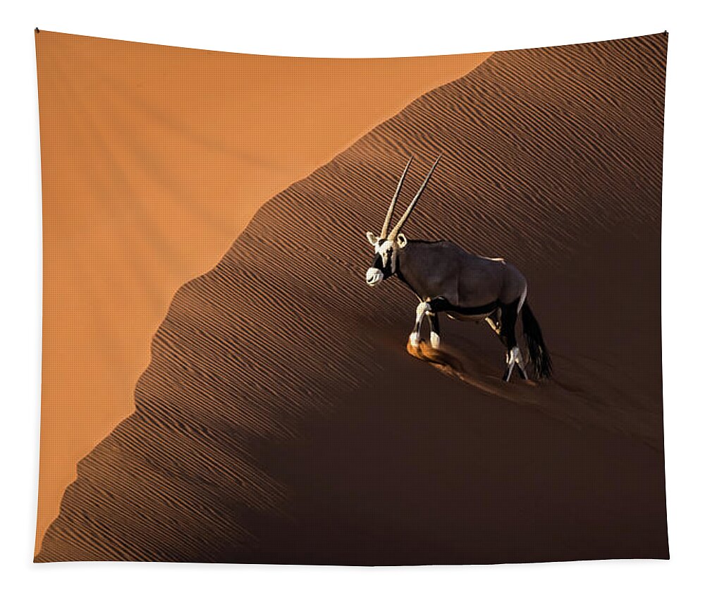 Gemsbok Tapestry featuring the photograph Oryx, Namibia by Lyl Dil Creations