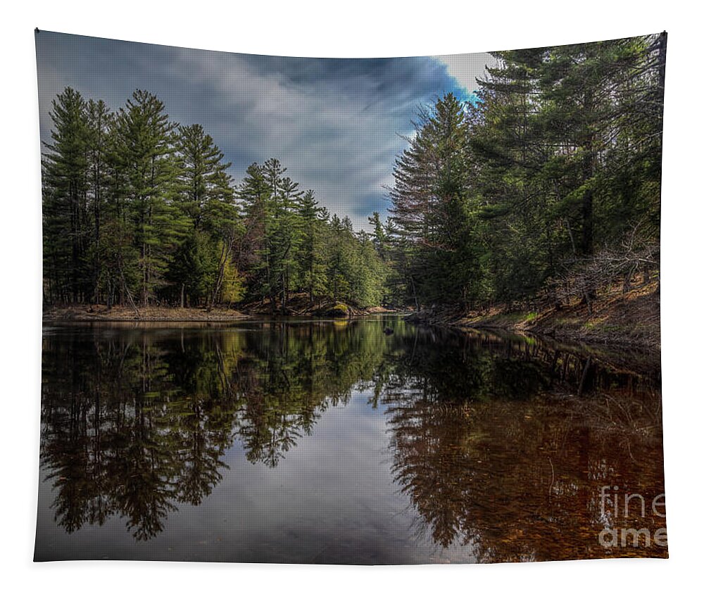 Adirondacks Tapestry featuring the photograph Oswegatchie River by Roger Monahan