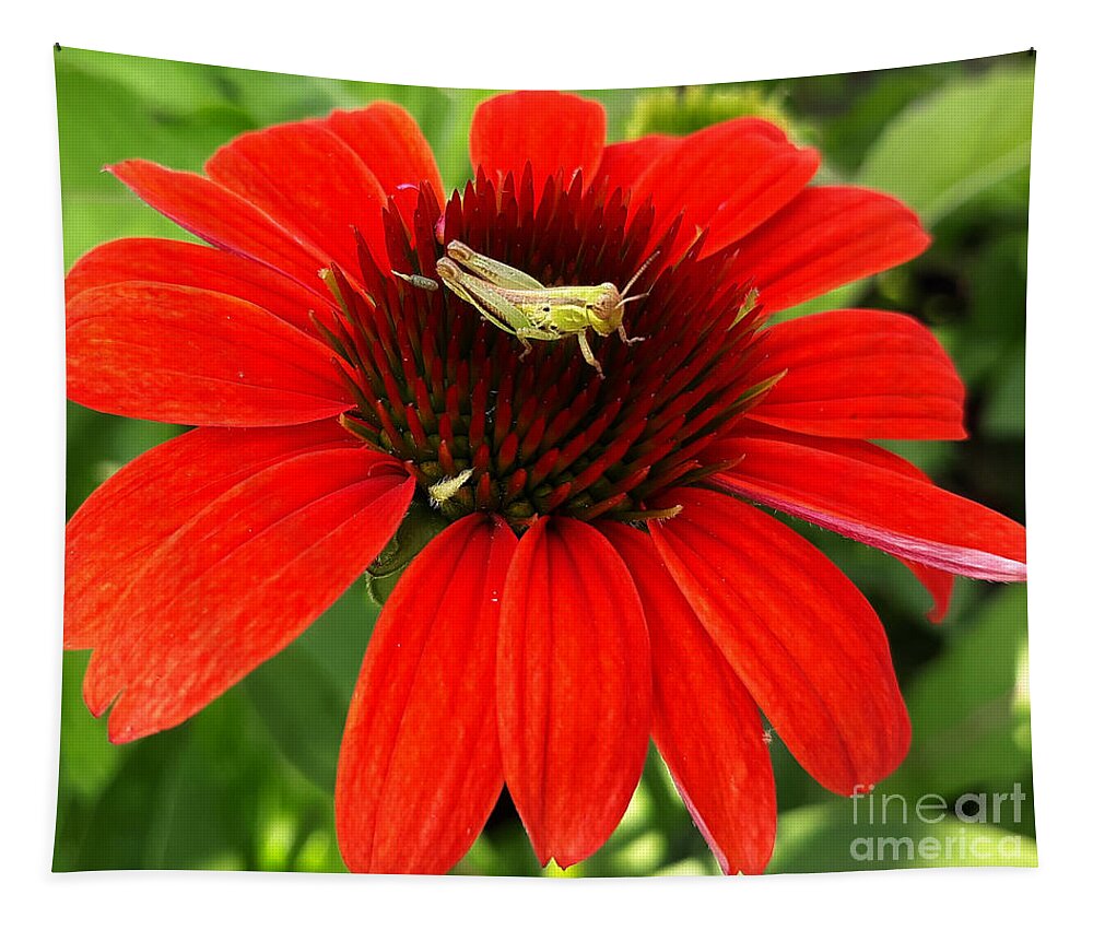 Insect Tapestry featuring the photograph Ouch Ouch Ouch by Dani McEvoy