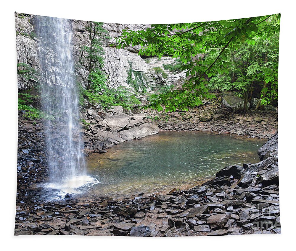 Tennessee Tapestry featuring the photograph Ozone Falls 11 by Phil Perkins