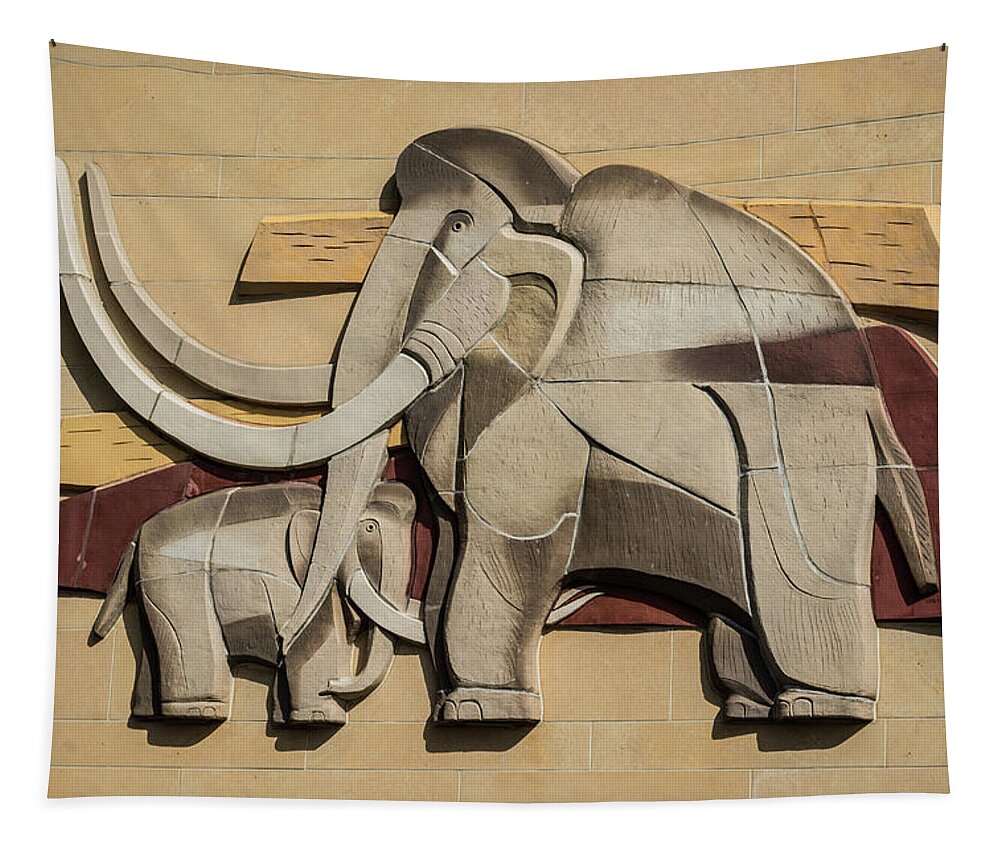 Animals Tapestry featuring the photograph Pachyderms by Stewart Helberg