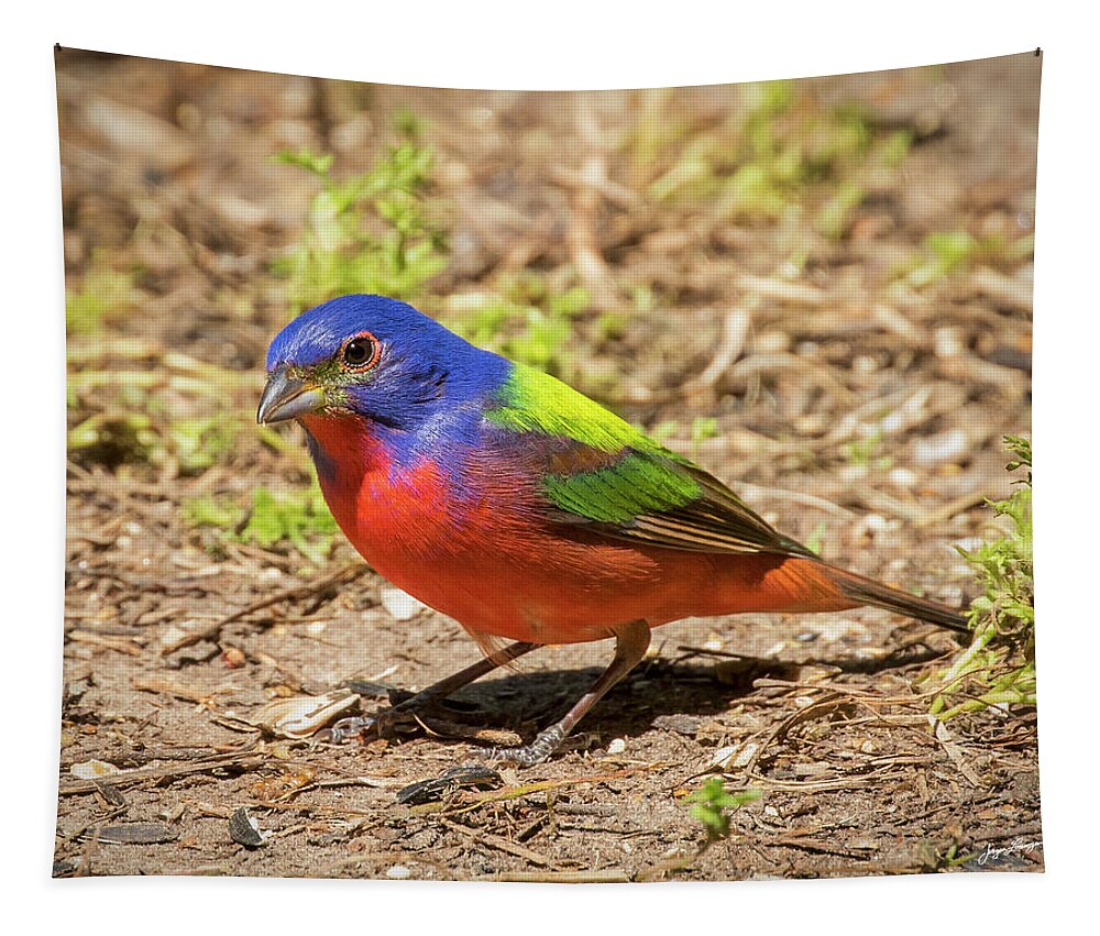 Painted Bunting Tapestry featuring the photograph Painted Bunting by Jurgen Lorenzen