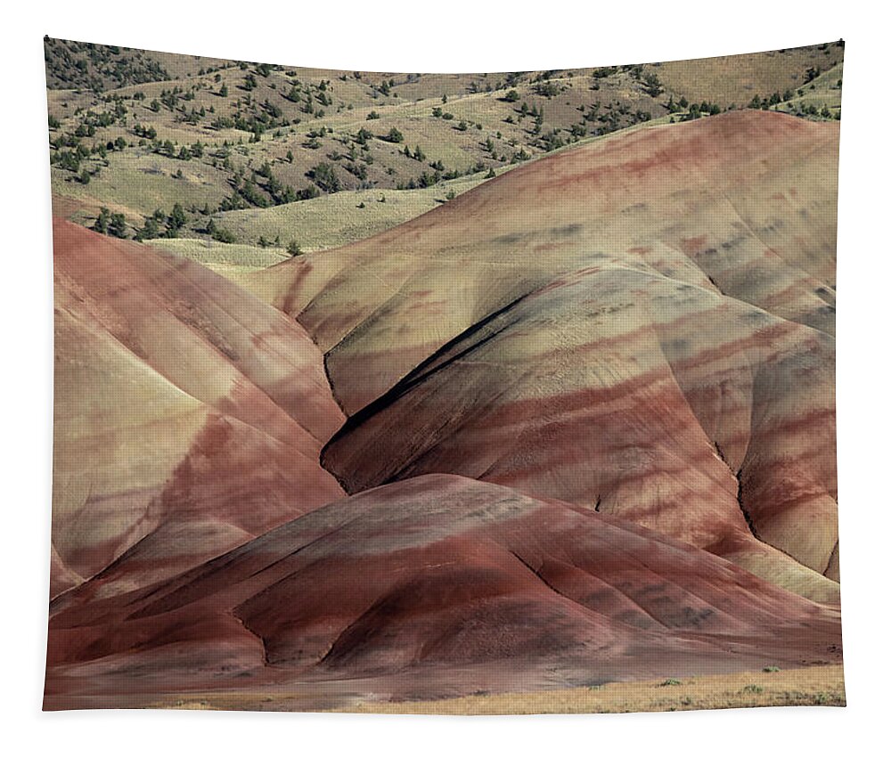Hills Tapestry featuring the photograph Painted High Desert by Steven Clark