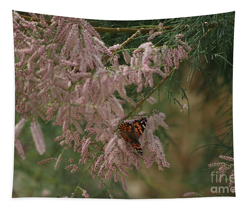 Peony Pink Tapestry featuring the photograph Painted Lady on Pink Chinese Saltcedar by Colleen Cornelius