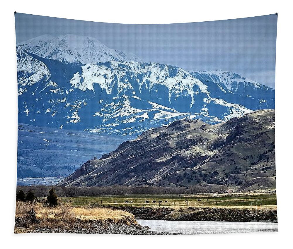 Yellowstone National Park Tapestry featuring the photograph Paradise Valley Montana by Steve Brown