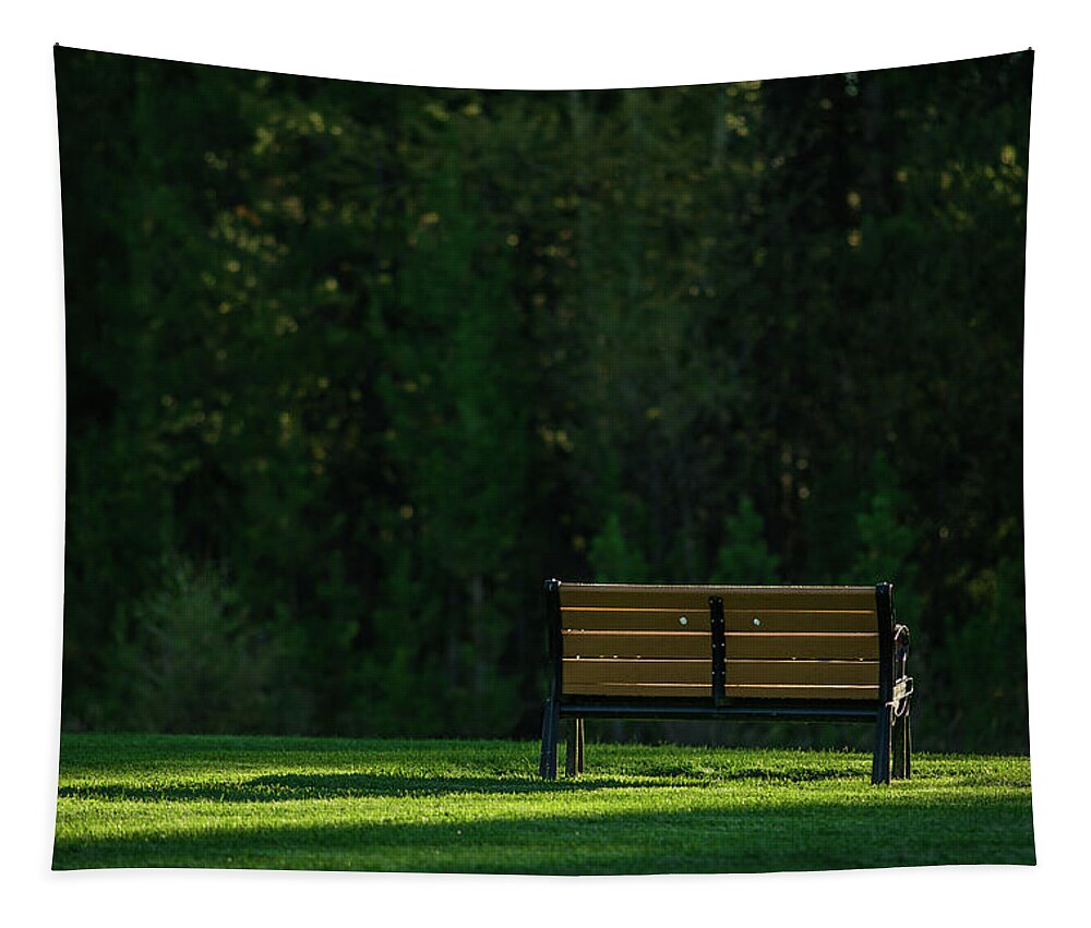 Bench Tapestry featuring the photograph Park bench at sunrise by Julieta Belmont