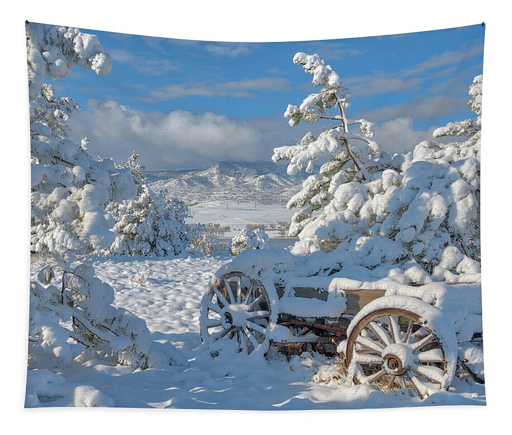 Snow Tapestry featuring the photograph Parked for the Winter by Darren White