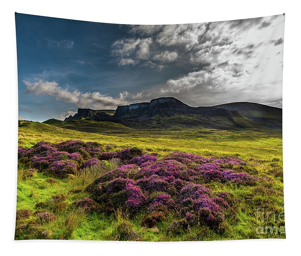 Abandoned Tapestry featuring the photograph Pasture With Blooming Heather In Scenic Mountain Landscape At The Old Man Of Storr Formation On The by Andreas Berthold