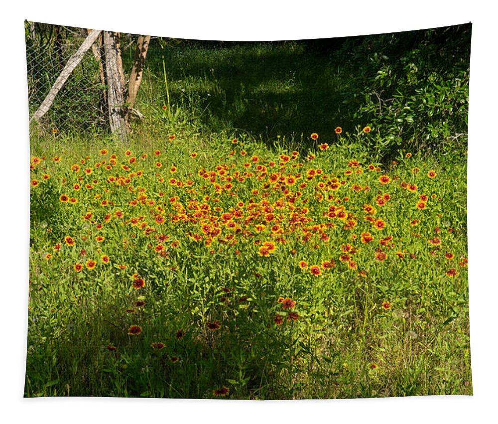Flower Tapestry featuring the photograph Patch of Summer Colors by Ivars Vilums