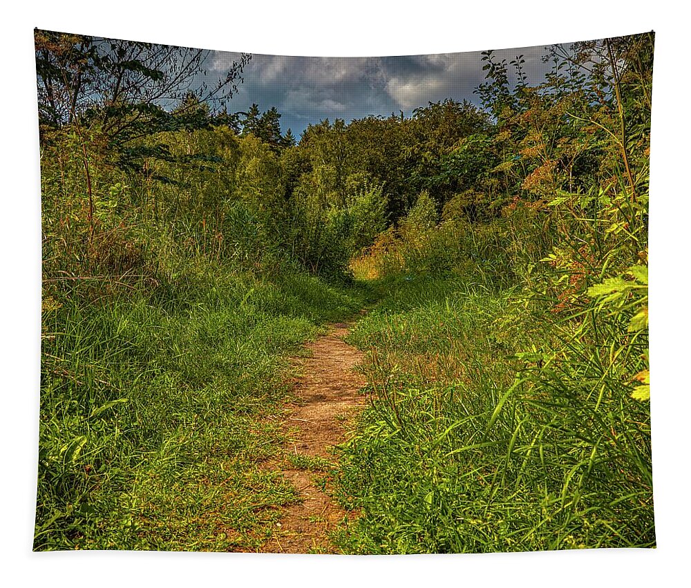 Path In Greenary Tapestry featuring the photograph Path In Greenary #i0 by Leif Sohlman
