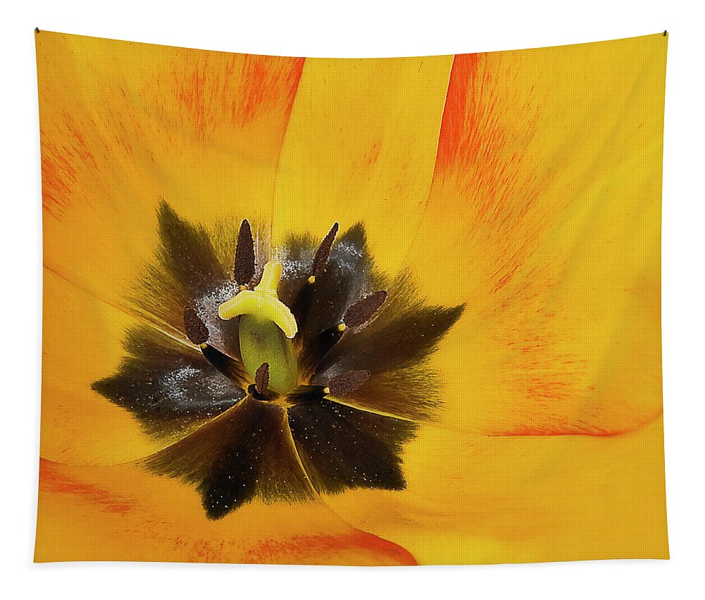 Flower Tapestry featuring the photograph Patterns Inside Yellow by John Christopher