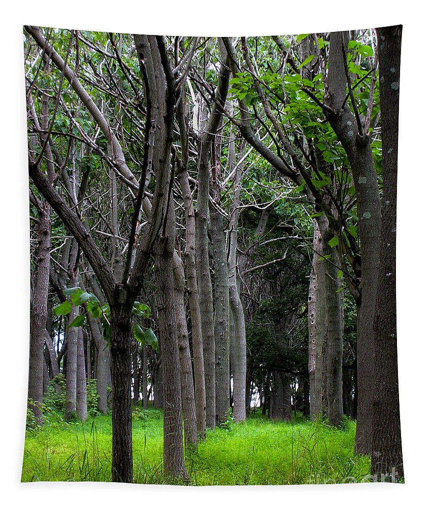 Paulownia Tapestry featuring the photograph Paulownia Grove by Steve Ember