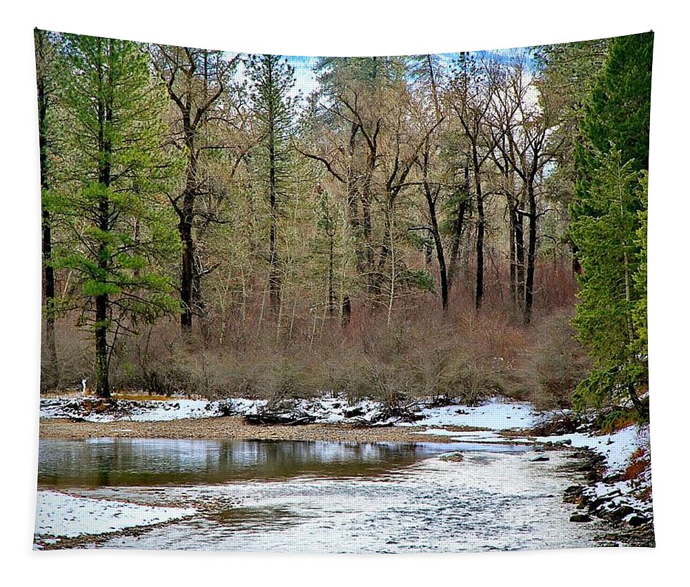 Boise County Tapestry featuring the photograph Payette River Idaho by Ed Riche