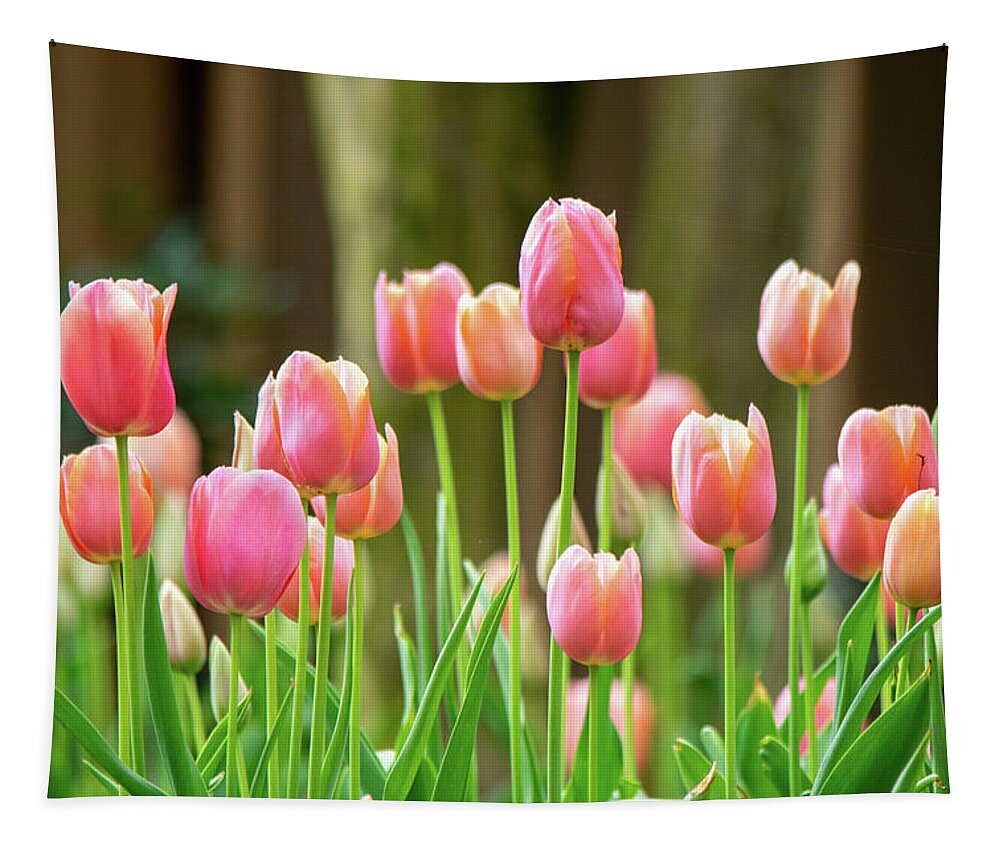Peach Tapestry featuring the photograph Peach and Coral Tulips by Mary Ann Artz