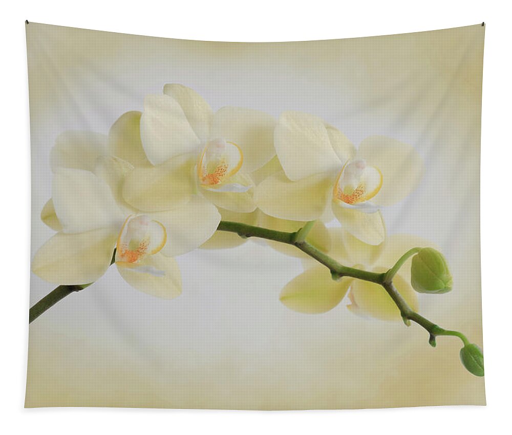 Flower Tapestry featuring the photograph Yellow Cream Orchid Spray by Patti Deters