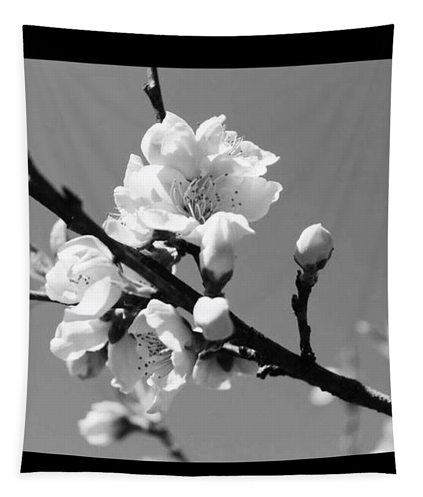 Nature Tapestry featuring the photograph Peach Tree by Jaisen Logan