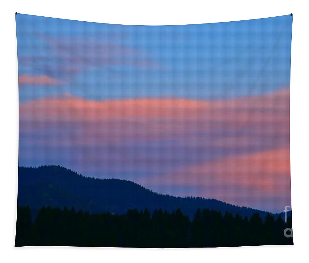 Sunset Tapestry featuring the photograph Peachy Keen by Dorrene BrownButterfield