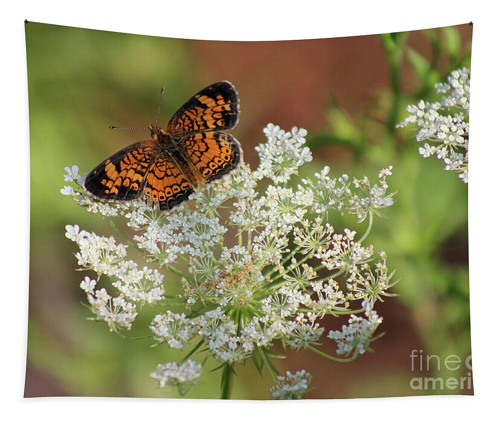 Pearl Crescent Butterfly Tapestry featuring the photograph Pearl on Lace by Karen Adams