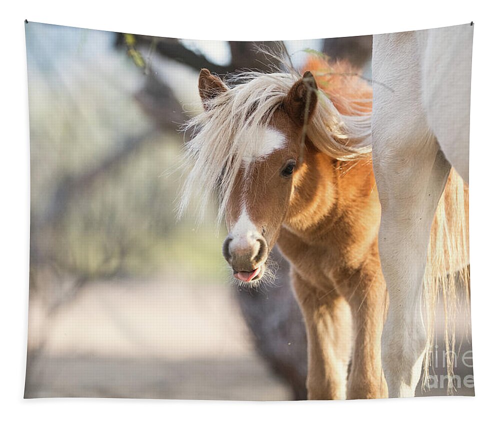 Cute Tapestry featuring the photograph Peek-A-Boo 2 by Shannon Hastings