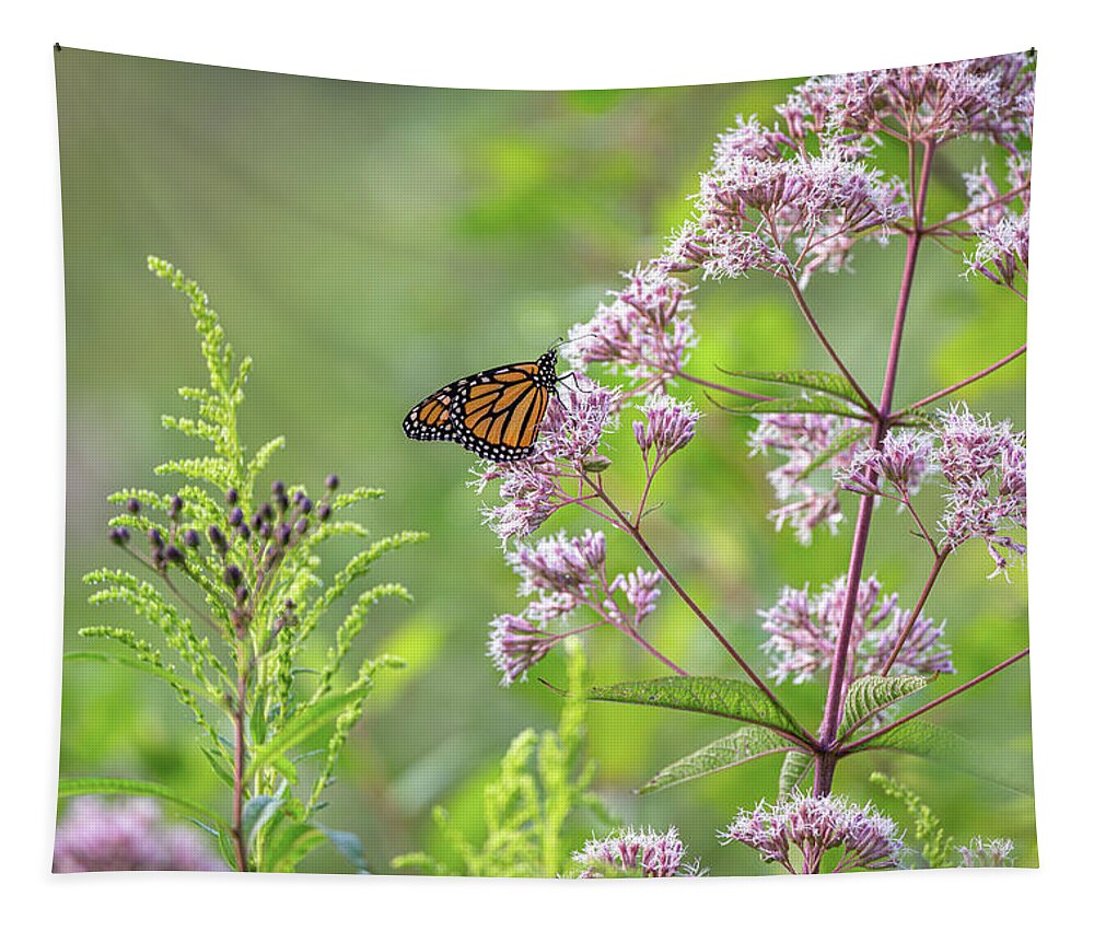 Nature Tapestry featuring the photograph Peering Into Nature by Dale Kincaid