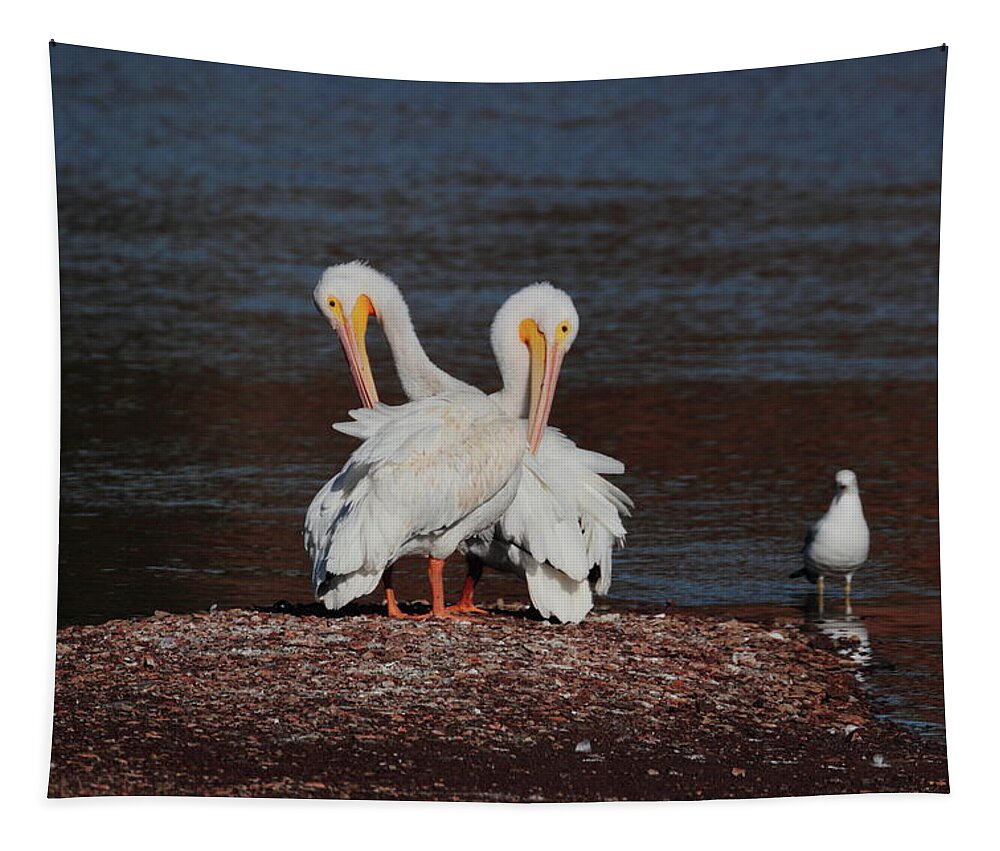 Pelican Tapestry featuring the photograph Pelicans 0393 by John Moyer