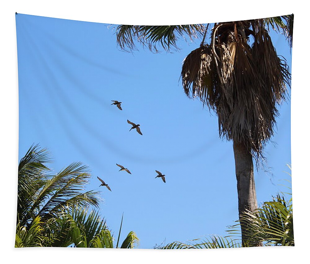 300mm Tapestry featuring the photograph Pelicans and Palm Trees Welcome You To Florida by M E