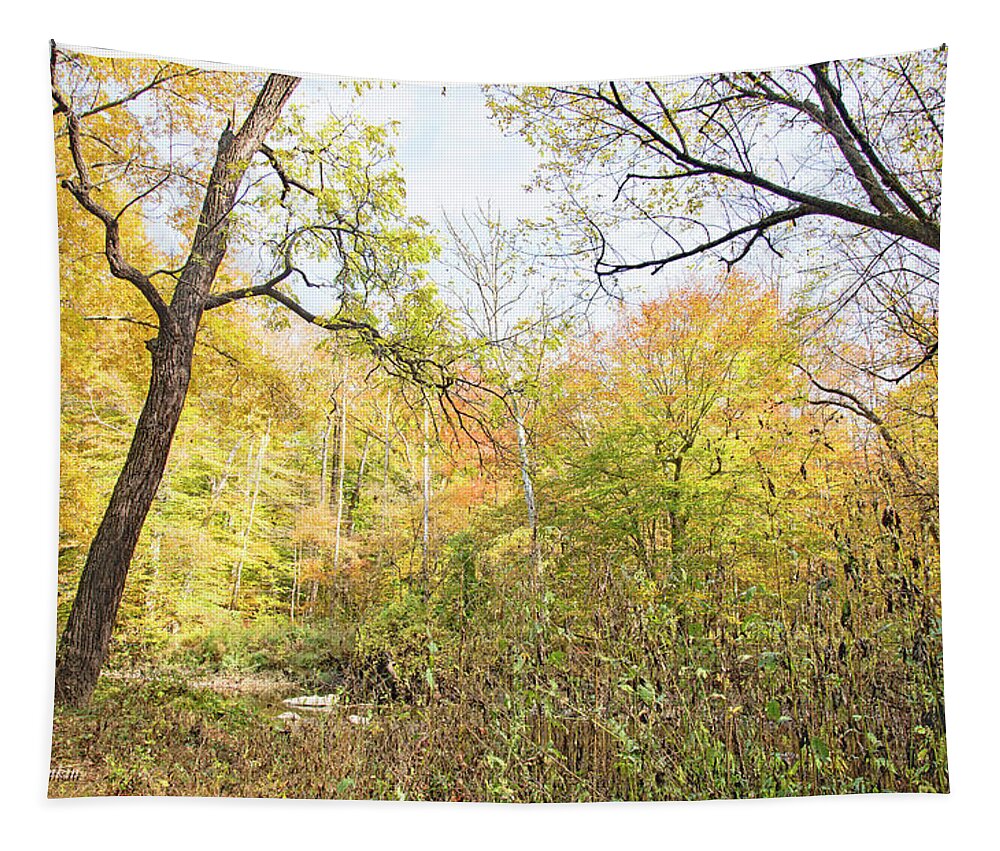 Philadelphia Tapestry featuring the photograph Pennypack Woods, Philadelphia Landmark, Autumn by A Macarthur Gurmankin