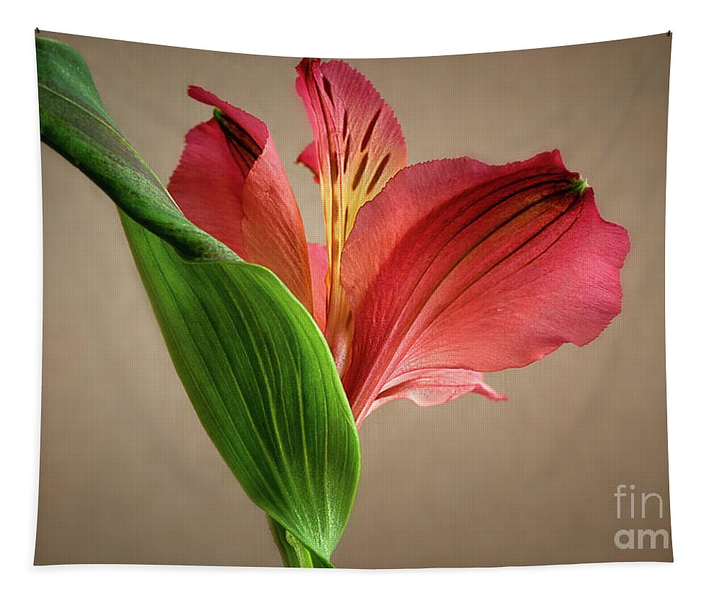 Alstroemeria Tapestry featuring the photograph Peruvian Lily by Susan Warren