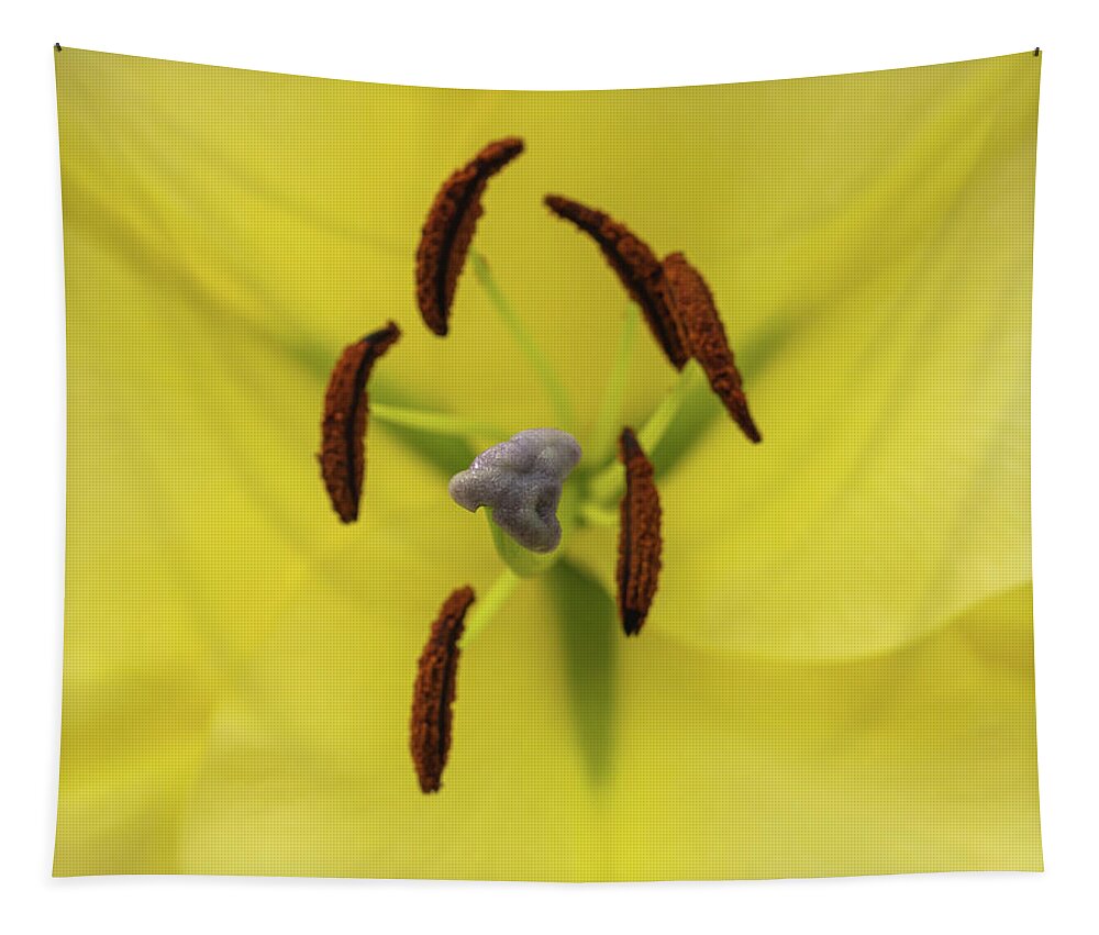 Anther Tapestry featuring the photograph Petals, stigma and anthers of a yellow lily by Tosca Weijers