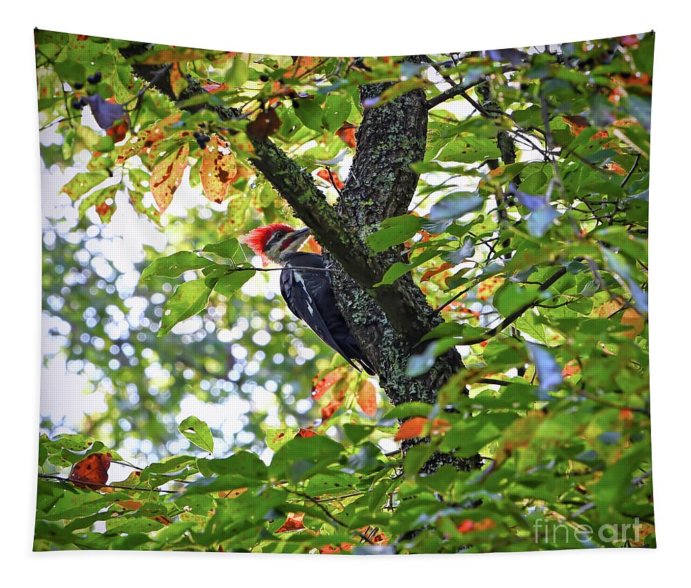 Pileated Woodpecker Tapestry featuring the photograph Pileated Woodpecker by Kerri Farley