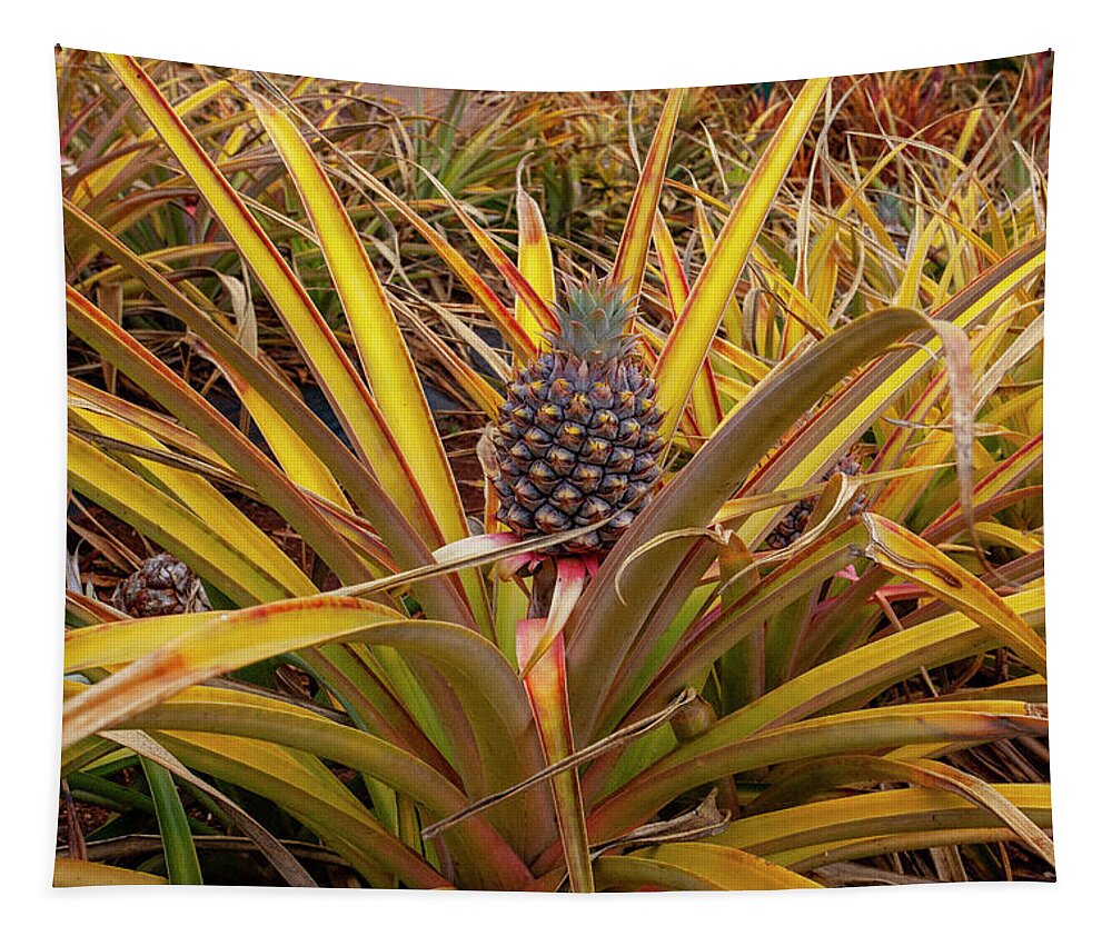 Oahu Tapestry featuring the photograph Pineapple by Anthony Jones