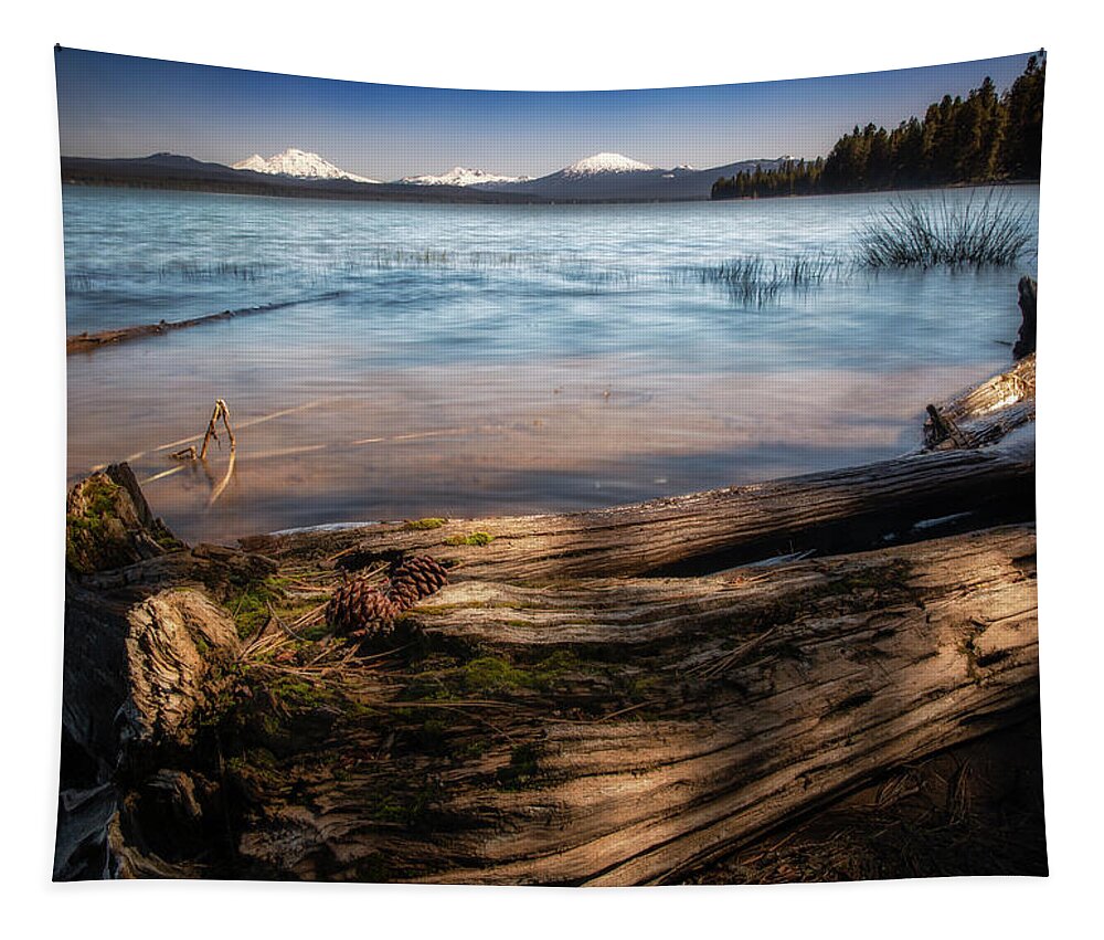 Lake Tapestry featuring the photograph Pinecones on A Log by Cat Connor