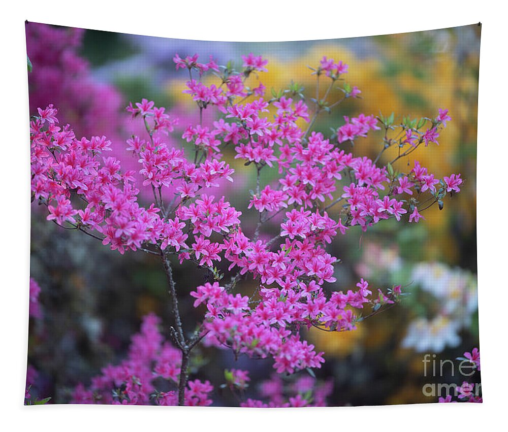 Rhododendrons Tapestry featuring the photograph Pink Azaleas Garden Light by Mike Reid