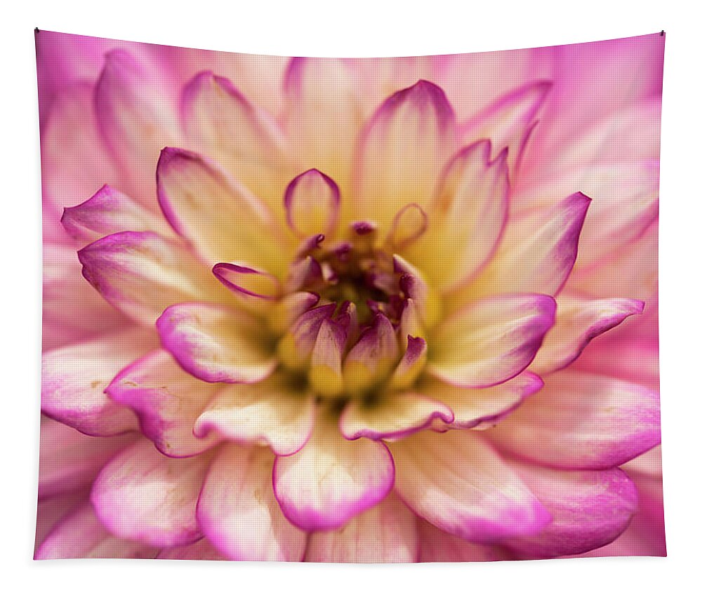 Flower Tapestry featuring the photograph Pink Delight by Arthur Oleary