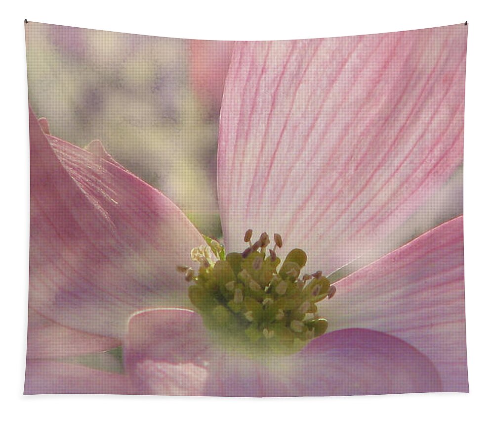 Pink Dogwood Tapestry featuring the photograph Pink Dogwood Dreams by Angela Davies