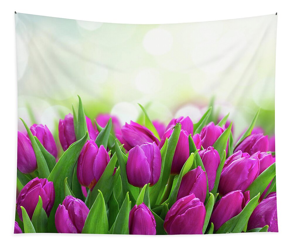 Tulips Tapestry featuring the photograph Violet Matters by Anastasy Yarmolovich