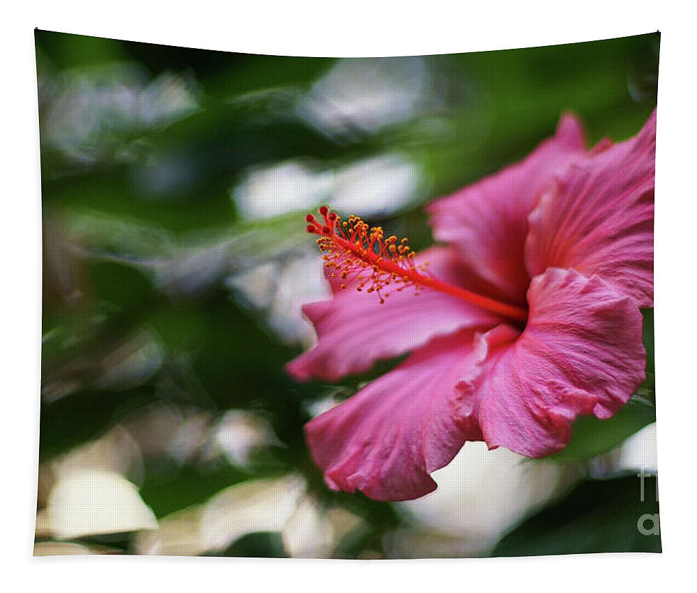 Beautiful Tapestry featuring the photograph Pink Hibiscus Flower by Pablo Avanzini