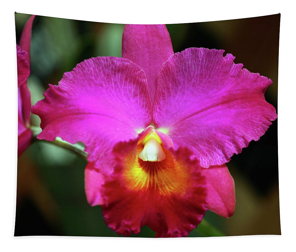 Hawaii Tapestry featuring the photograph Pink Orchid by Anthony Jones
