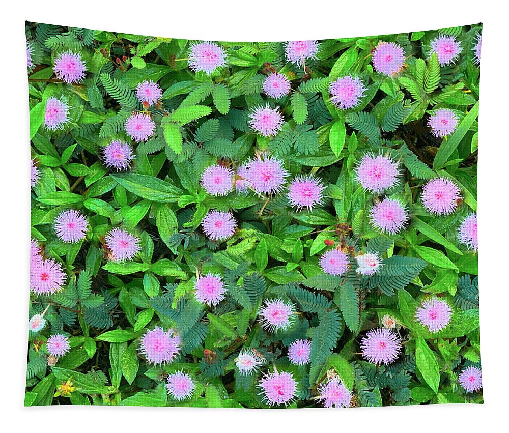Pink Tapestry featuring the photograph Pink Powder puffs by Sean Davey