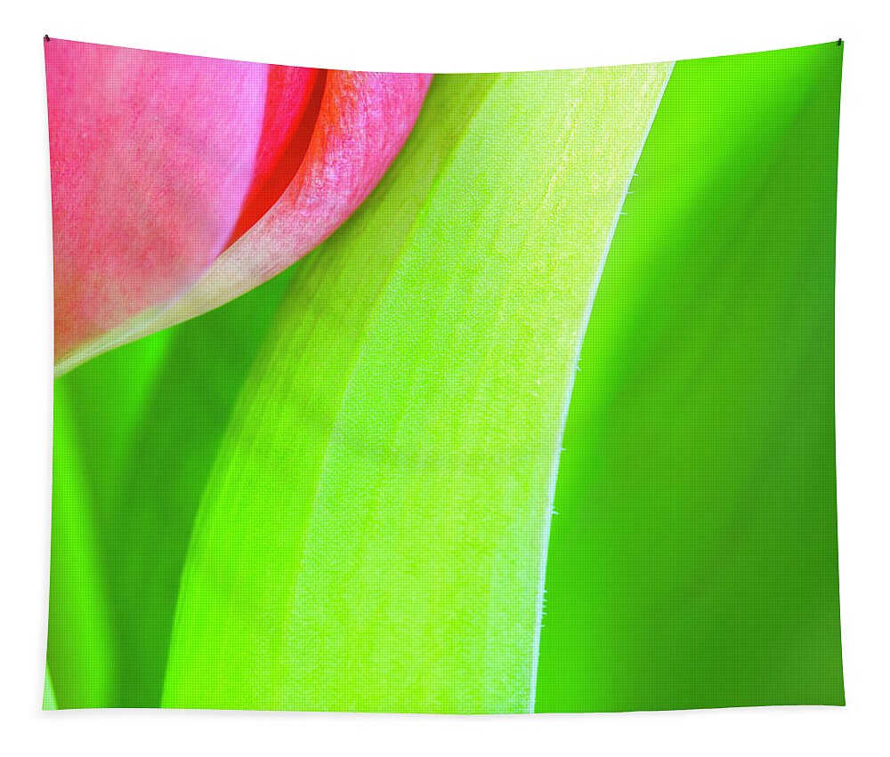 Tulip Tapestry featuring the photograph Pink Tulip Abstract i by Marianne Campolongo
