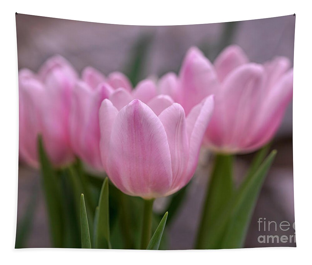 Tulips Tapestry featuring the photograph Pink Tulips by Cathy Donohoue