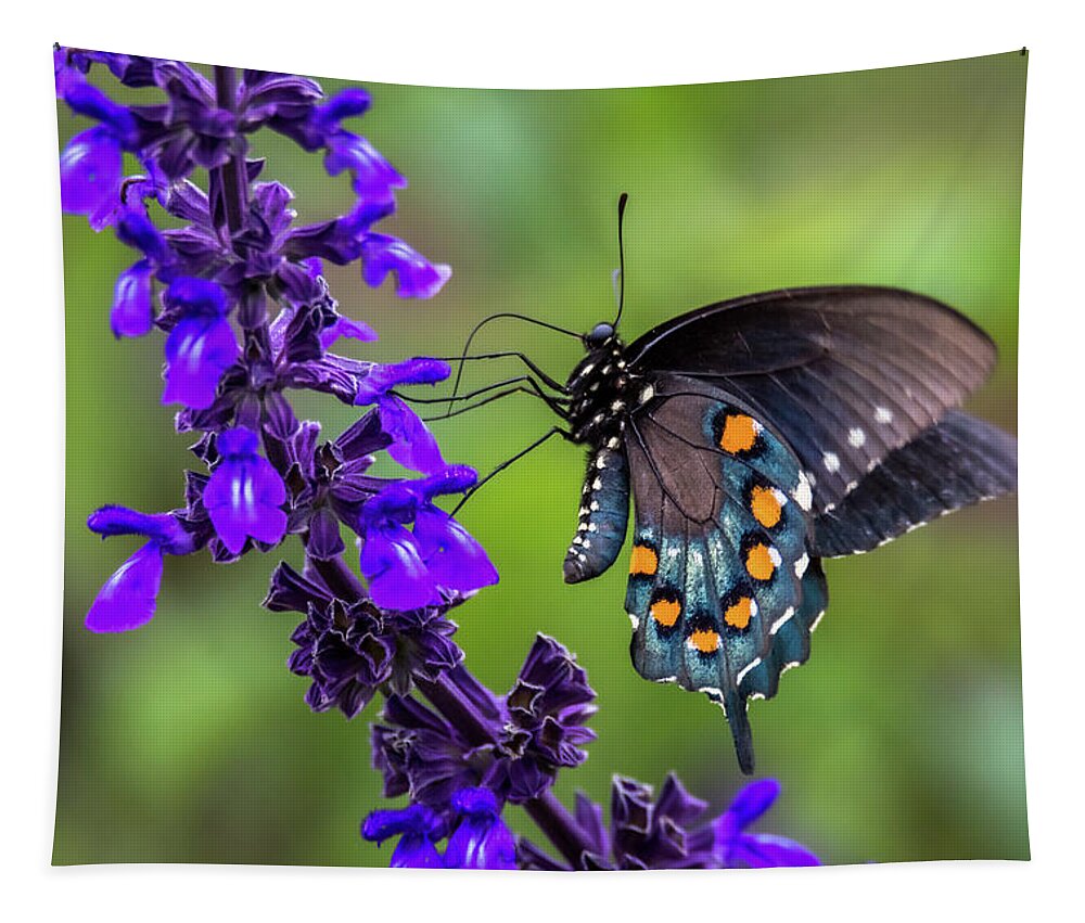 Pipevine Swallowtail Tapestry featuring the photograph Pipevine Swallowtail by Debra Martz