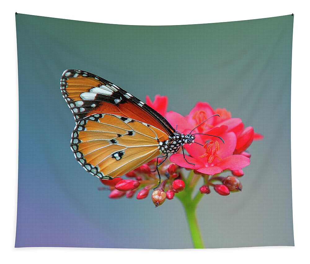 Bangkok Tapestry featuring the photograph Plain Tiger or African Monarch Butterfly DTHN0246 by Gerry Gantt