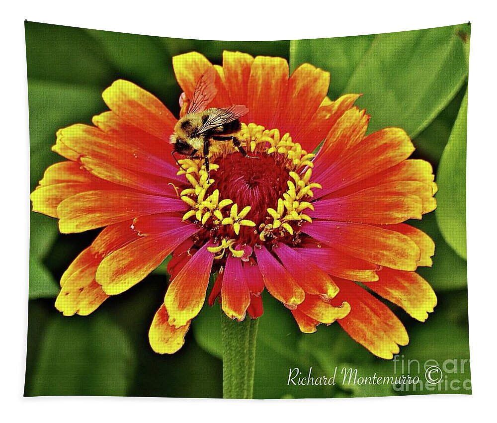 Flowers Tapestry featuring the photograph Pollinator by Richard Montemurro